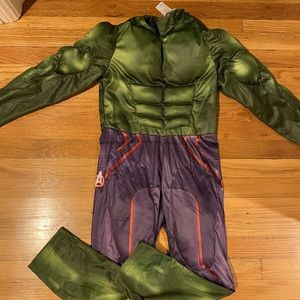 Hulk Costume 5/6